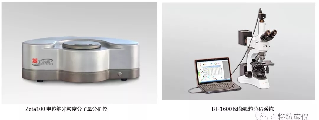 2.webp (1).jpg 2.webp (1).jpg
